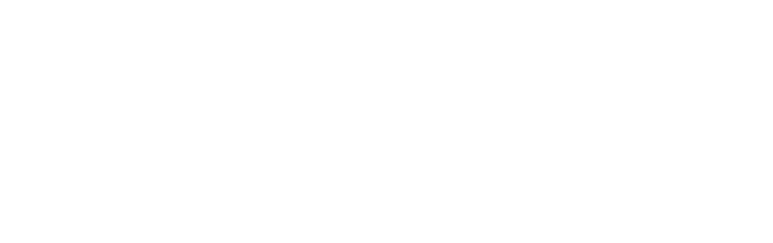 Laviva2 1